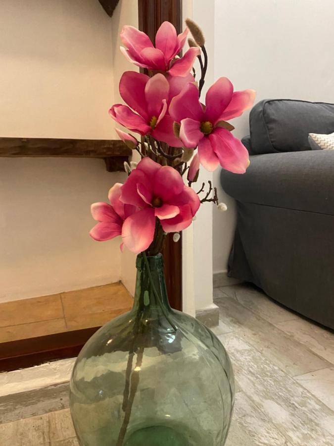 Apartamento La Pepa - Santa Cruz De La Palma Santa Cruz de la Palma  Extérieur photo